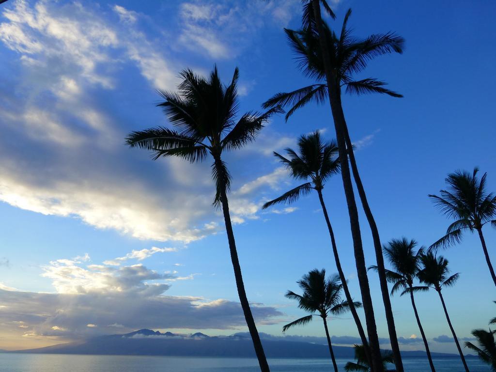 Mahina Surf 220 By Redawning Aparthotel Lahaina Eksteriør bilde